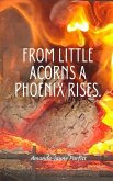From little acorns a Phoenix rises.