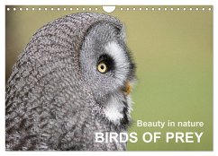Beauty in nature BIRDS OF PREY (Wall Calendar 2024 DIN A4 landscape), CALVENDO 12 Month Wall Calendar - Tunnicliffe, Alan