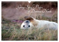 Grey Seal Pups of Donna Nook (Wall Calendar 2024 DIN A3 landscape), CALVENDO 12 Month Wall Calendar - Thompson-Moon, Wendy