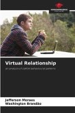 Virtual Relationship