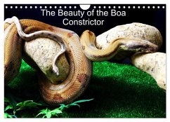 The Beauty of the Boa Constrictors (Wall Calendar 2024 DIN A4 landscape), CALVENDO 12 Month Wall Calendar - Horton, John