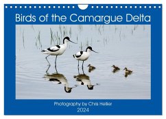 Birds of the Camargue Delta (Wall Calendar 2024 DIN A4 landscape), CALVENDO 12 Month Wall Calendar