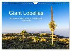 Giant Lobelias - Mysterious Plants of the East African Mountains (Wall Calendar 2024 DIN A4 landscape), CALVENDO 12 Month Wall Calendar - Zwick, Martin