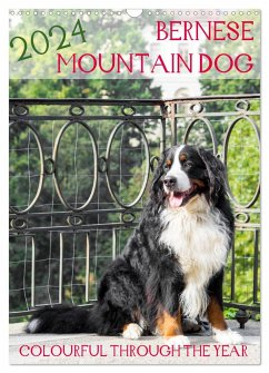 Bernese Mountain Dog - colourful through the year (Wall Calendar 2024 DIN A3 portrait), CALVENDO 12 Month Wall Calendar