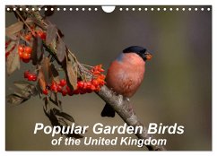 Popular garden birds of the united kingdom (Wall Calendar 2024 DIN A4 landscape), CALVENDO 12 Month Wall Calendar - Tunnicliffe, Alan