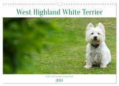 West Highland White Terrier - Your charming companion (Wall Calendar 2024 DIN A3 landscape), CALVENDO 12 Month Wall Calendar - Rohde, Angela