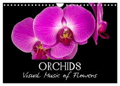 Orchids (Wall Calendar 2024 DIN A4 landscape), CALVENDO 12 Month Wall Calendar