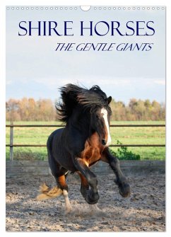 Shire Horses The Gentle Giants (Wall Calendar 2024 DIN A3 portrait), CALVENDO 12 Month Wall Calendar