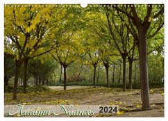 Autumn Nuances (Wall Calendar 2024 DIN A3 landscape), CALVENDO 12 Month Wall Calendar - Ferraz, Martiniano