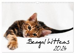 Bengal kittens 2024 (Wall Calendar 2024 DIN A3 landscape), CALVENDO 12 Month Wall Calendar