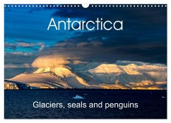 Antarctica Glaciers, seals and penguins (Wall Calendar 2024 DIN A3 landscape), CALVENDO 12 Month Wall Calendar