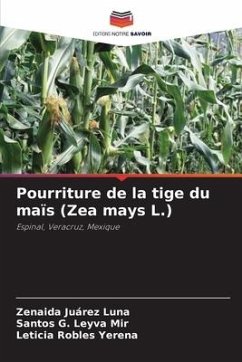 Pourriture de la tige du maïs (Zea mays L.) - Juárez Luna, Zenaida;Leyva Mir, Santos G.;Robles Yerena, Leticia