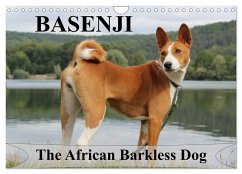 Basenji the African Barkless Dog (Wall Calendar 2024 DIN A4 landscape), CALVENDO 12 Month Wall Calendar