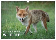 Beautiful British WILDLIFE (Wall Calendar 2024 DIN A3 landscape), CALVENDO 12 Month Wall Calendar - Tunnicliffe, Alan