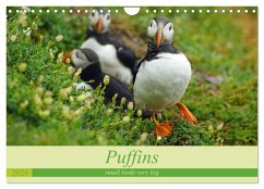 Puffins - small birds very big (Wall Calendar 2024 DIN A4 landscape), CALVENDO 12 Month Wall Calendar