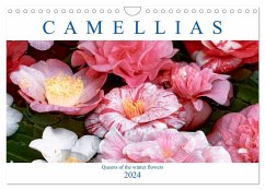 Camellias (Wall Calendar 2024 DIN A4 landscape), CALVENDO 12 Month Wall Calendar