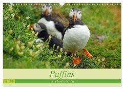 Puffins - small birds very big (Wall Calendar 2024 DIN A3 landscape), CALVENDO 12 Month Wall Calendar