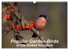 Popular garden birds of the united kingdom (Wall Calendar 2024 DIN A3 landscape), CALVENDO 12 Month Wall Calendar