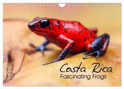 Costa Rica - Fascinating Frogs (Wall Calendar 2024 DIN A4 landscape), CALVENDO 12 Month Wall Calendar