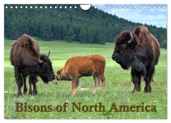 Bisons of North America (Wall Calendar 2024 DIN A4 landscape), CALVENDO 12 Month Wall Calendar - Wilczek, Dieter