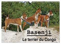 Basenji Le terrier du Congo (Calendrier mural 2024 DIN A3 vertical), CALVENDO calendrier mensuel - Wobst, Petra