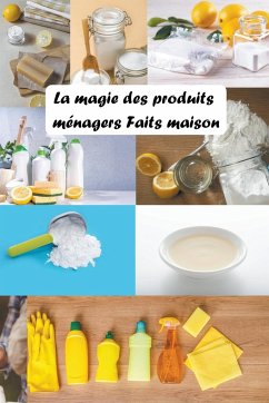 La Magie des Produits Ménagers Faits Maison - Saura