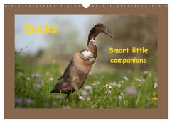 Ducks - Smart litte companions (Wall Calendar 2024 DIN A3 landscape), CALVENDO 12 Month Wall Calendar