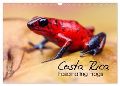 Costa Rica - Fascinating Frogs (Wall Calendar 2024 DIN A3 landscape), CALVENDO 12 Month Wall Calendar