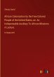 African Colonization by the Free... - Bild 1