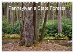 Pennsylvania State Forests (Wall Calendar 2024 DIN A3 landscape), CALVENDO 12 Month Wall Calendar