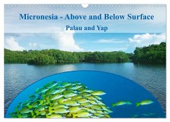 Micronesia - Above and Below Surface (Wall Calendar 2024 DIN A3 landscape), CALVENDO 12 Month Wall Calendar