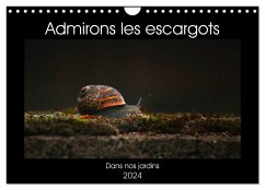 Admirons les escargots (Calendrier mural 2024 DIN A4 vertical), CALVENDO calendrier mensuel