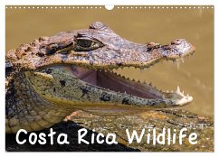 Costa Rica Wildlife (Wall Calendar 2024 DIN A3 landscape), CALVENDO 12 Month Wall Calendar - Pixel, Ulysse