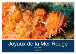 Joyaux de la Mer Rouge (Calendrier mural 2024 DIN A3 vertical), CALVENDO calendrier mensuel
