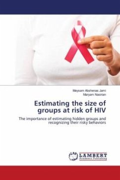Estimating the size of groups at risk of HIV