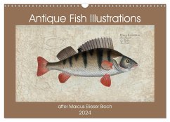 Antique fish illustrations after Elieser Bloch (Wall Calendar 2024 DIN A3 landscape), CALVENDO 12 Month Wall Calendar
