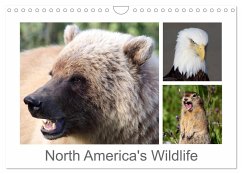 North America's Wildlife (Wall Calendar 2024 DIN A4 landscape), CALVENDO 12 Month Wall Calendar - Braue, Carsten