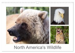 North America's Wildlife (Wall Calendar 2024 DIN A3 landscape), CALVENDO 12 Month Wall Calendar