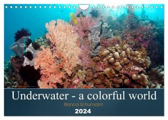 Underwater - a colorful world (Wall Calendar 2024 DIN A4 landscape), CALVENDO 12 Month Wall Calendar