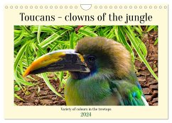 Toucans - clowns of the jungle (Wall Calendar 2024 DIN A4 landscape), CALVENDO 12 Month Wall Calendar