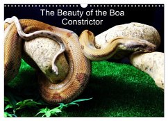 The Beauty of the Boa Constrictors (Wall Calendar 2024 DIN A3 landscape), CALVENDO 12 Month Wall Calendar