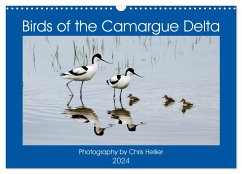 Birds of the Camargue Delta (Wall Calendar 2024 DIN A3 landscape), CALVENDO 12 Month Wall Calendar