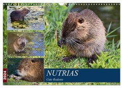 NUTRIAS Cute Rodents (Wall Calendar 2024 DIN A3 landscape), CALVENDO 12 Month Wall Calendar - Boettcher, U.