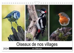 Oiseaux de nos villages en Gâtinais (Calendrier mural 2024 DIN A4 vertical), CALVENDO calendrier mensuel