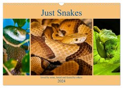 Just Snakes (Wall Calendar 2024 DIN A3 landscape), CALVENDO 12 Month Wall Calendar