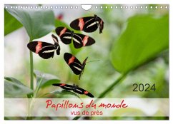 Papillons du monde, vus de près (Calendrier mural 2024 DIN A4 vertical), CALVENDO calendrier mensuel