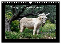 Donkeys - forgotten pets (Wall Calendar 2024 DIN A4 landscape), CALVENDO 12 Month Wall Calendar