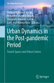 Urban Dynamics in the Post-pandemic Period (eBook, PDF)