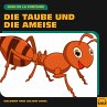 Die Taube und die Ameise (MP3-Download) - Bild 1