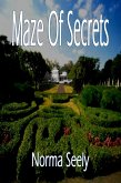 Maze of Secrets (eBook, ePUB)